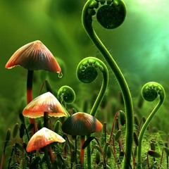 ॐ