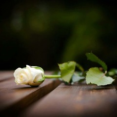 ▶ sound-effects - أزقة الصمت by Soundnoor - معزوفة المساء