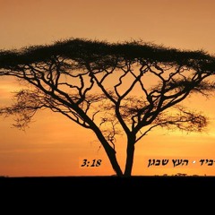 מתן רביד - העץ שבגן ♫ (אודיו)