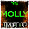 Tyga - Molly ft Wiz Khalifa, Mally Mall (Myxed Up Remix)