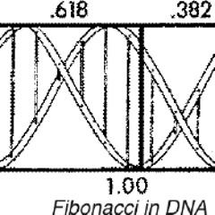 435.915&428.085 Hz in modulation AM 7.83 Hz standing wave DNA golden ratio 320kbps