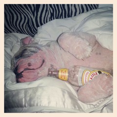 Drunk Again By Amanda Lovelady