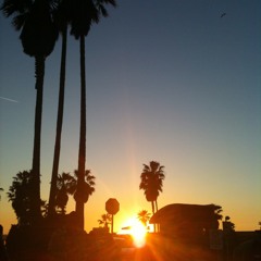 Sunset palm tree (2006)