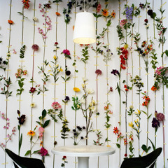 Hey Hey Wallflower