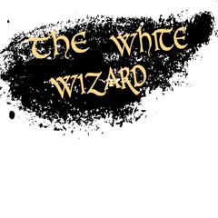 STONE TEMPLE PILOTS FLIP!