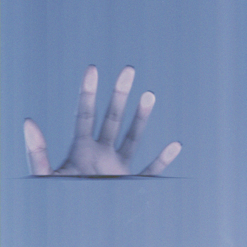 Dontletitgo