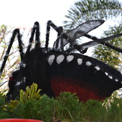 เพลงยุงลาย.mp3