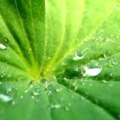 Húmeda (Illya Kuryaki And The Valderramas) cover Fabrizio Walker