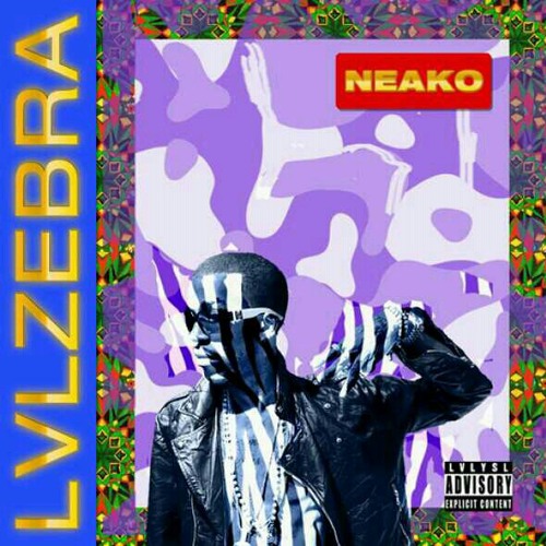 Neako Present LvLZebra-LvLG