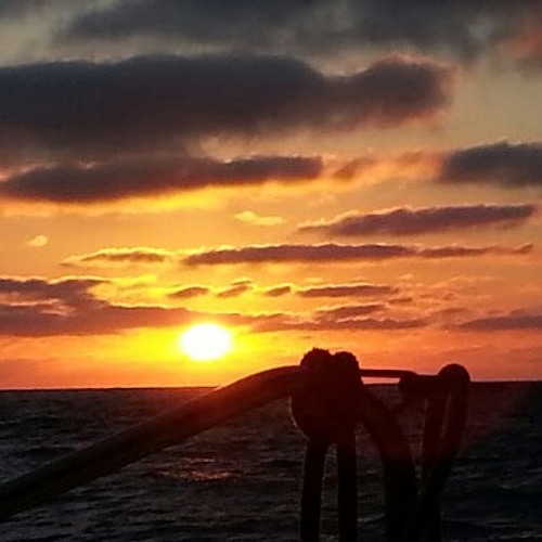 Presentism at Cabrillo Isle Marina