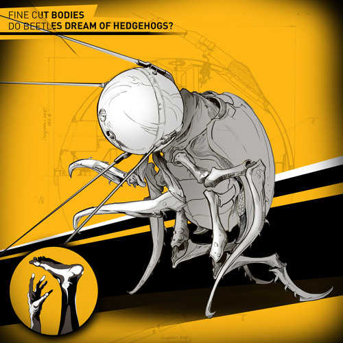 Fine Cut Bodies - Beetle In The Bandoneon