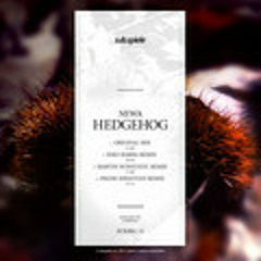 Newa "Hedgehog"(martin nonstatic remix) on Subspiele - sub.rec