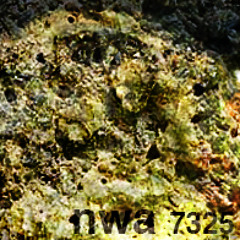 NWA 7325
