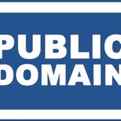 Public Domain LIVE at The Reading Festival 25/08/2001