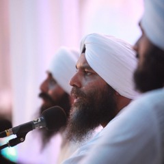 Hao Na Chodo & Sabh Avgun - Bhai Niranjan Singh