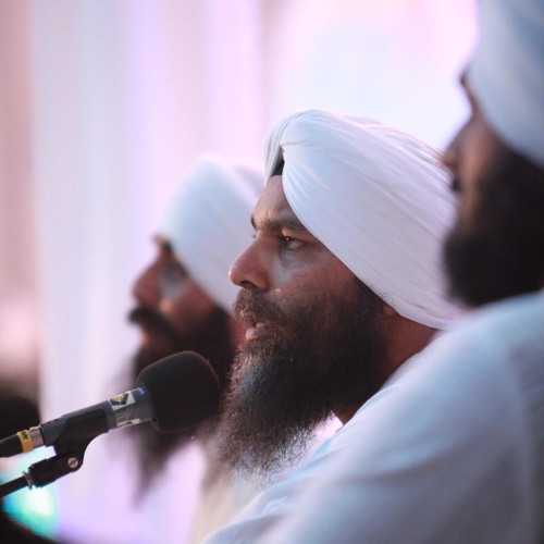 Hao Na Chodo & Sabh Avgun - Bhai Niranjan Singh