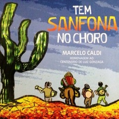 Sanfonando - Luiz Gonzaga