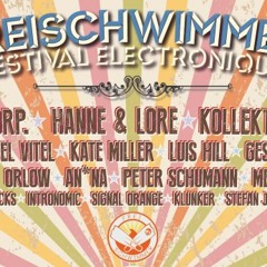 Freischwimmer Festival 2013