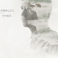 [Free Download]Ólafur Arnalds - Only The Wind(Jay Ronin Remix)