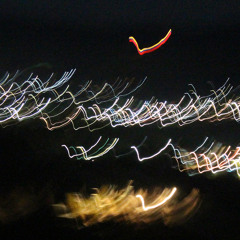 Pájaros Bajo la Lluvia (version 1)