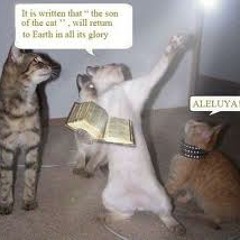 Gospel Cats