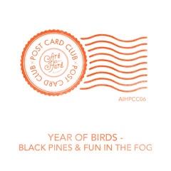 Year Of Birds - Black Pines & Fun In The Fog