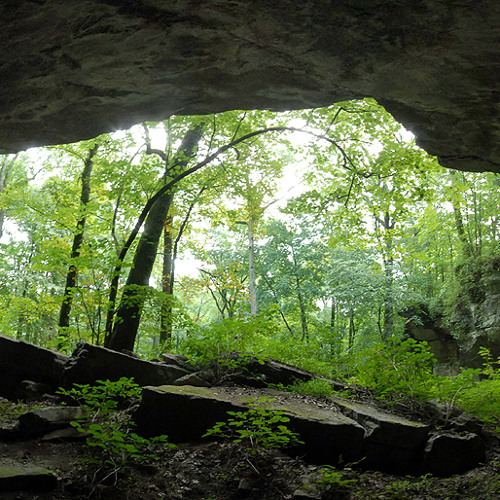 Humildes - Back to the cave