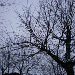 TheCeppolo - Song # 1 (Mix and Master)