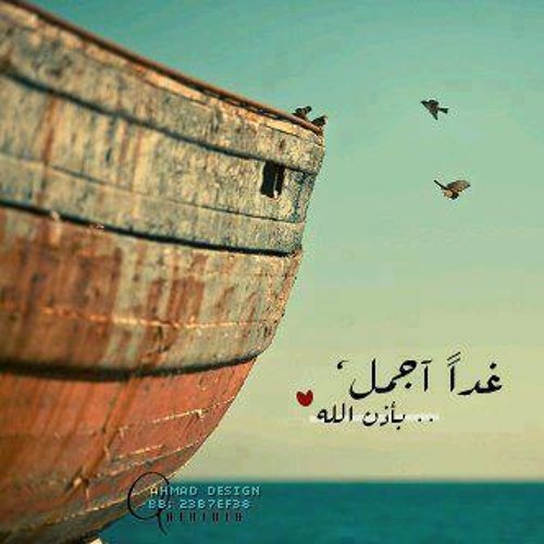 محمد منير | علّى صوتك
