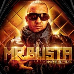 Mr.Busta feat. Flex - Páva Dal