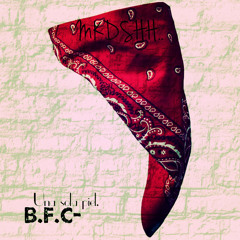 Una Sola Piel.(B.F.C)F.T.Toxcoo Medrano