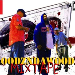 Tha Hoodz Mixtape ft. HoodzndaWoodz (hosted by AlbinoLizard NY)