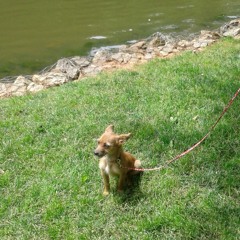 Be Free / Written  By Elimu Curtis/ Unfinished