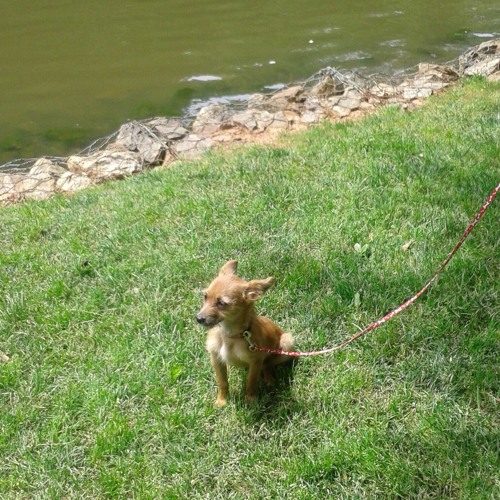 Be Free / Written  By Elimu Curtis/ Unfinished