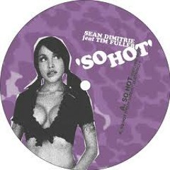 Sean Dimitrie and Tim Fuller - So Hot (Swag Remix) [Odori, 2004]