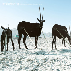 Melon - Spring (Original Mix)