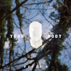 Your Body