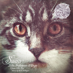 [Suara] Edu Imbernon & Coyu - Open Air + Tube & Berger Remix (Snippets)