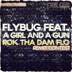 Flybug feat. A Girl And A Gun – ROK THA DAM FLO (Stereo Doctor Remix)