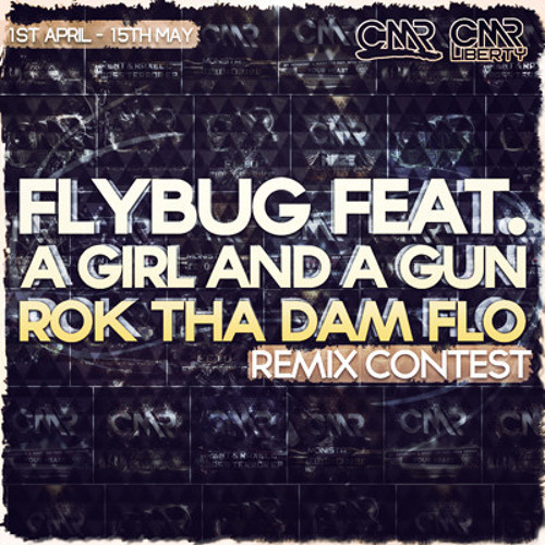 Flybug feat. A Girl And A Gun – ROK THA DAM FLO (Stereo Doctor Remix)