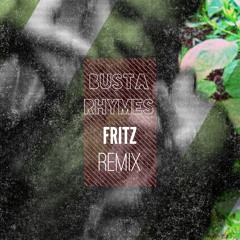 Busta Rhymes - I know what you want (Fritz remix)
