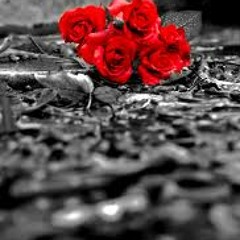 Marche Funebre ( Chopin Cover )