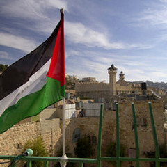 Palestine a.k.a Ledr P - Let It Bounce