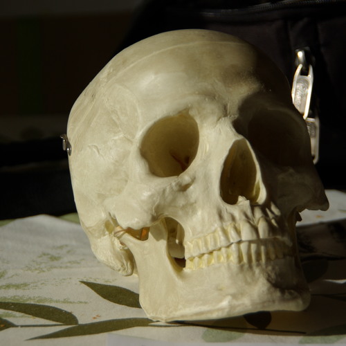 Sélection du moment