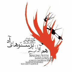 چه می‌کنی؟ | علیرضا قربانی