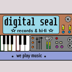 We play music /Nozé ( Digital Seal Records )