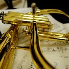 Bring Him home FlugelHorn Solo