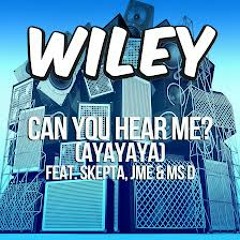 Can You Hear Me- Wiley ft Skepta & JME & Ms. D (Gokhan Ekinci Bootleg)