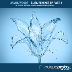 [ND090] James Woods - Bliss (Blood Groove & Kikis Remix)