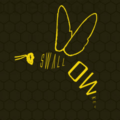 We Got The Honey By Swallow Key